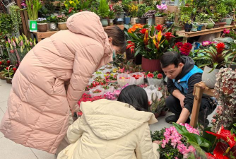 家庭养花用生根粉