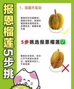 榴莲花怎么取榴莲