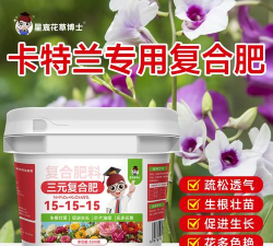 家庭养花用生根粉