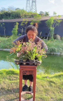 家庭养花用生根粉