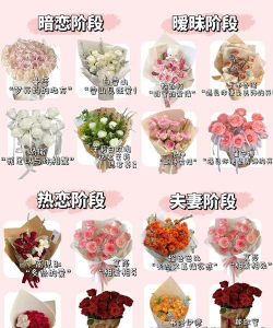 送人花多少含义是什么