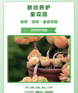 大叶片碧桃怎么浇水