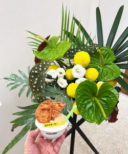 家庭养花用生根粉