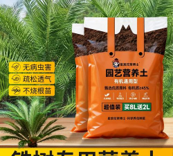 家庭养花用生根粉