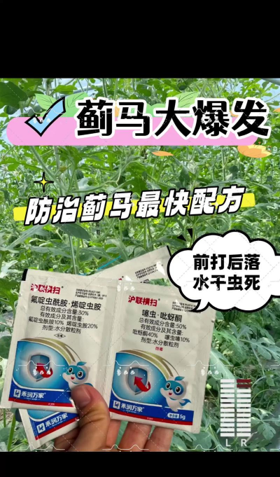 家庭养花用生根粉