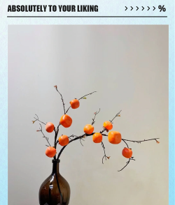 怎么用柿子做干花