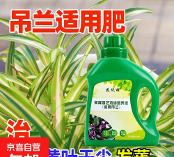 家庭养花用生根粉
