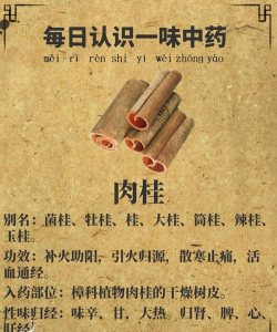 肉桂副作用是什么