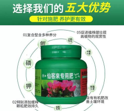 家庭养花用生根粉