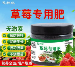 草莓开花了用什么肥