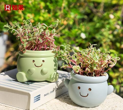 心情花盆怎么做