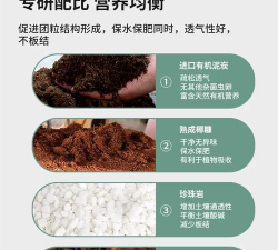 家庭养花用生根粉