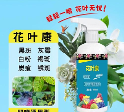 家庭养花用生根粉