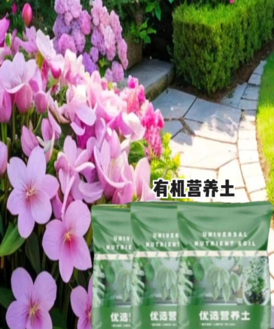 家庭养花用生根粉