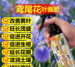 家庭养花用生根粉