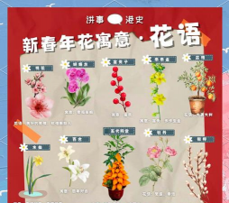 年花象征什么意思