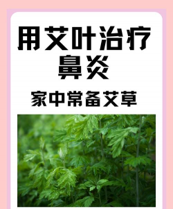 用艾叶和什么芙鼻