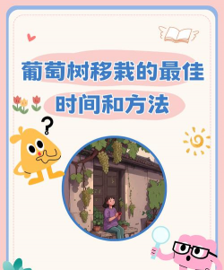 盆栽葡萄什么时候移栽