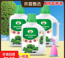 家庭养花用生根粉