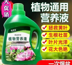 家庭养花用生根粉