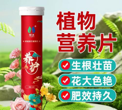 家庭养花用生根粉