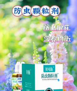 家庭养花用生根粉