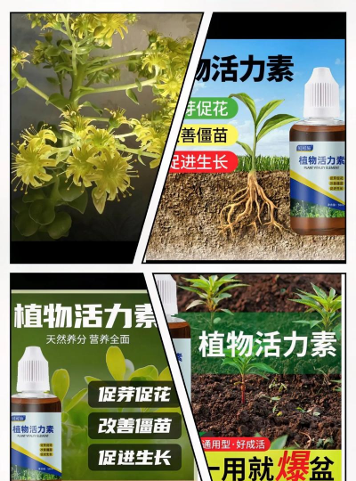 家庭养花用生根粉