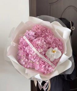 绣球花搭配什么种