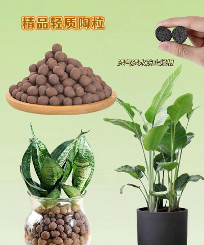 无土栽培技术，突破土壤限制，开启高效种植新篇章