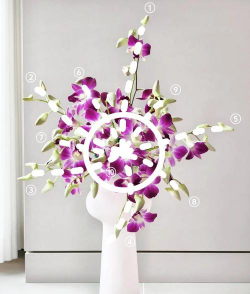 栀子花怎么养，掌握浇水技巧，避免黄叶掉苞