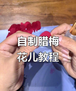 腊梅花枝怎么制作
