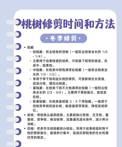 桃树剪枝是什么时候