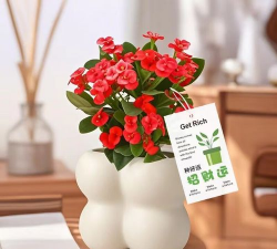 家庭养花用生根粉