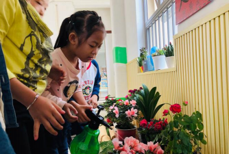 家庭养花用生根粉