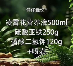 家庭养花用生根粉