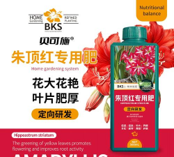 家庭养花用生根粉