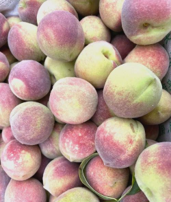 青州蜜桃花是什么颜色