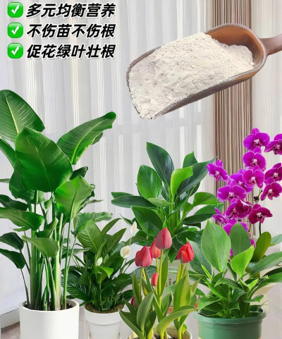 家庭养花用生根粉