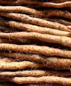 淮山头长什么样子