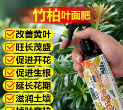 家庭养花用生根粉