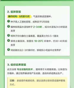 仙客来如何繁殖