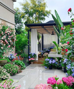 家庭养花用生根粉