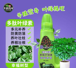 家庭养花用生根粉