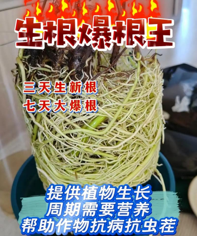 家庭养花用生根粉