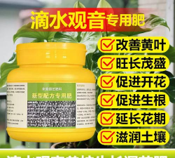 家庭养花用生根粉