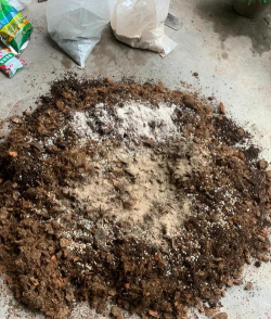 家庭养花用生根粉