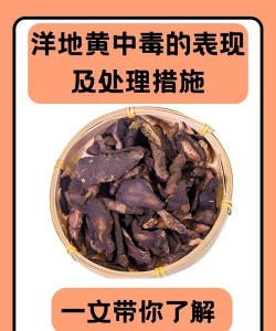 洋地黄怎么造成的