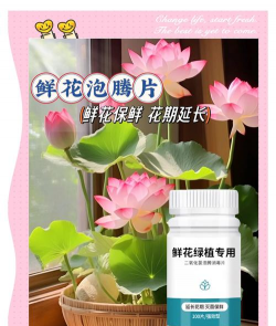 家庭养花用生根粉