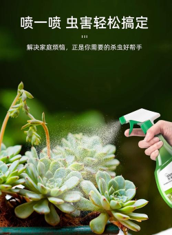 家庭养花用生根粉