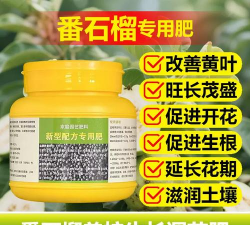 家庭养花用生根粉